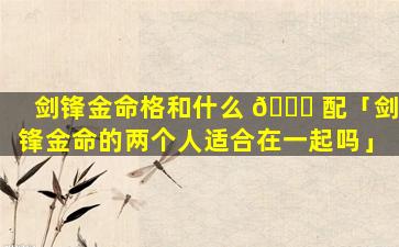 剑锋金命格和什么 🕊 配「剑锋金命的两个人适合在一起吗」